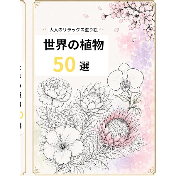 Amazon.com: モルフォ人体デッサン 新装コデックス版: 9784766133684
